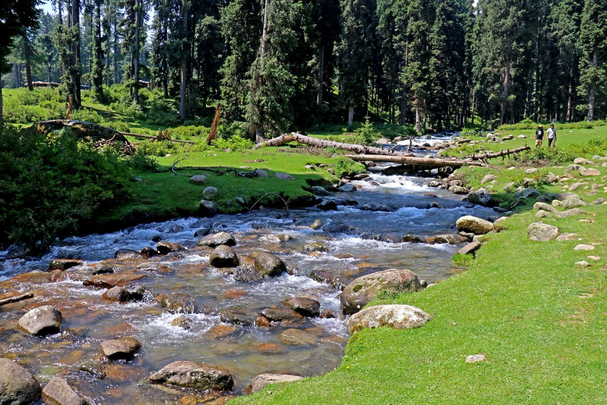KashmirLife's tweet photo. The crystal-clear waters of the #DoodhGanga River flow through the verdant #Haijan #Brenwar meadow in #Chadoora, #Budgam, offering a serene escape amid dense forests and rolling grasslands. Fed by glaciers in the #PirPanjal range, the pristine stream has emerged as a popular offbeat destination for tourists and picnickers seeking tranquillity in the #KashmirValley. See photos by #BilalBahadur #KashmirLife
