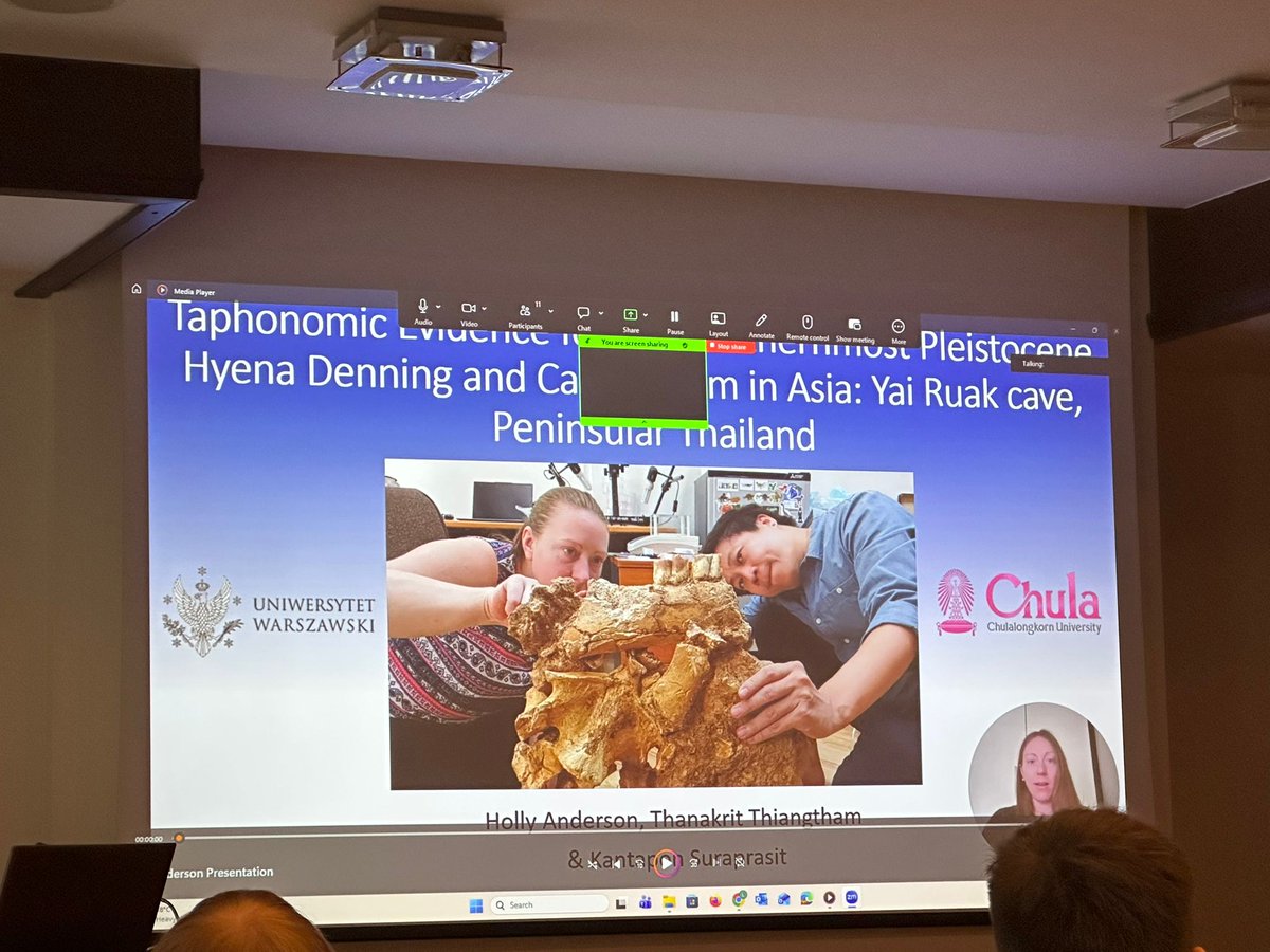 palaeophd's tweet photo. Thank you to all who came to my talk at #EAVP2026 to find out more about our latest research on #Pleistocene #hyena denning &amp; #cannibalism in #Asia: Yai Ruak #cave, Peninsular #Thailand 🦴🇹🇭 https://t.co/kvDG9qEwaZ