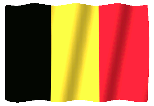 sarddou's tweet photo. Dieu sait qu'on aime leur chier dessus, se moquer d'eux, de leur niveau de foot et du niveau de seum intersidéral qui va avec, de leur pêche au thon ou de leurs accents ridicules ou de leur camping car qui viennent polluer notre beau pays.

Mais ce soir, moi, je suis le plus Belge de tous les Belges.
Sortez moi ces gros cons d'américains. 

#BELUSA