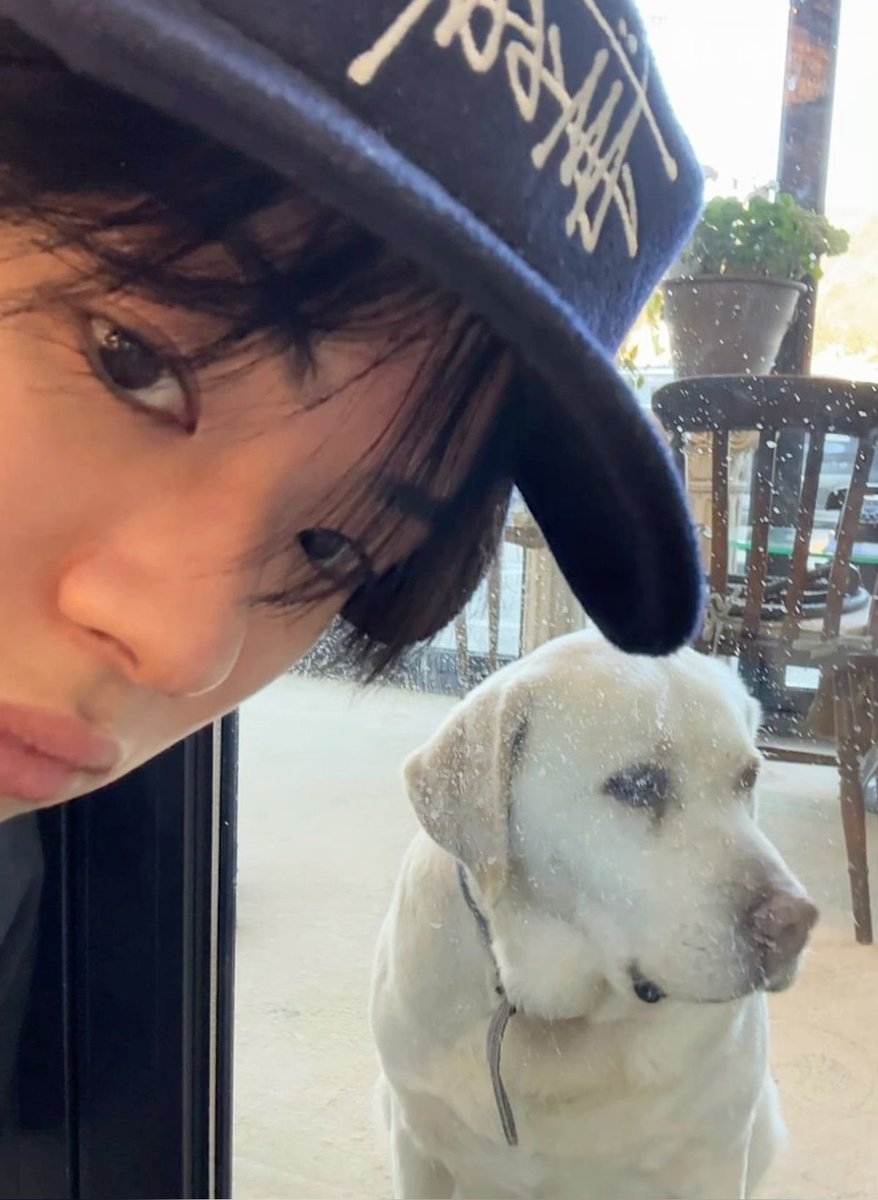 bappuli.. tweet media