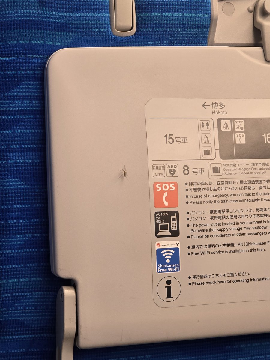 keeby5's tweet photo. ずっといたので緊張感があった https://t.co/0qWRBWTMzL