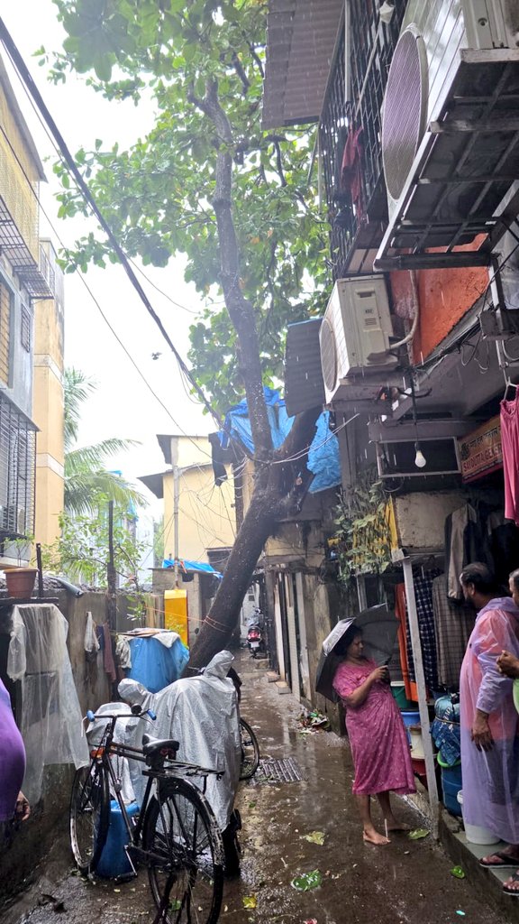 KajlaRana95861's tweet photo. सांताक्रूझ पश्चिम प्रभाग९७मधीलकोतवालीपरिसरात धोकादायक झाडाची तात्काळ छाटणी करूनसंभाव्य दुर्घटनाटळली नागरिकांच्यातक्रारीचीदखलघेतल्याबद्दलप्रशासनाचे आभार Ganesh Raniवसंपूर्णशिवसेनाटीमच्यापाठपुराव्यालायश.🌳🙏 #SantacruzWest #ShivSena #97wada @mybmc @mybmcWardHW @yuvasenabandraw 🚩🏹 https://t.co/DBKqGlf2qg