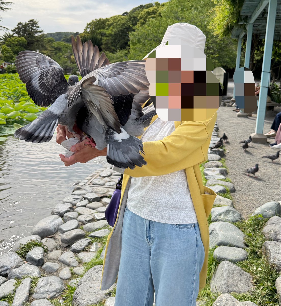 mochiychan's tweet photo. @Gachappy246r ほとんど取られた😥
コイご飯買った時からロックオンされていた💧 https://t.co/TiryKCvwbu