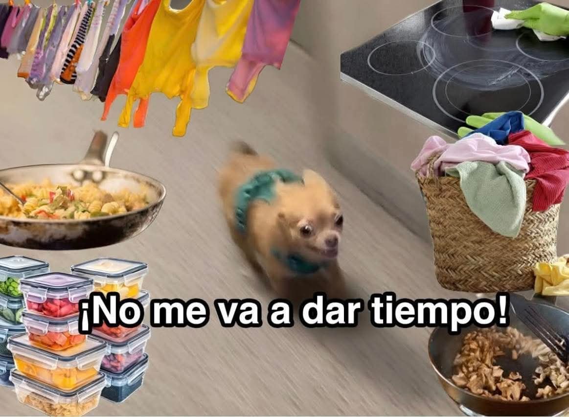 nxstypxet's tweet photo. Inicio de semana: https://t.co/ewR4RMuEJq