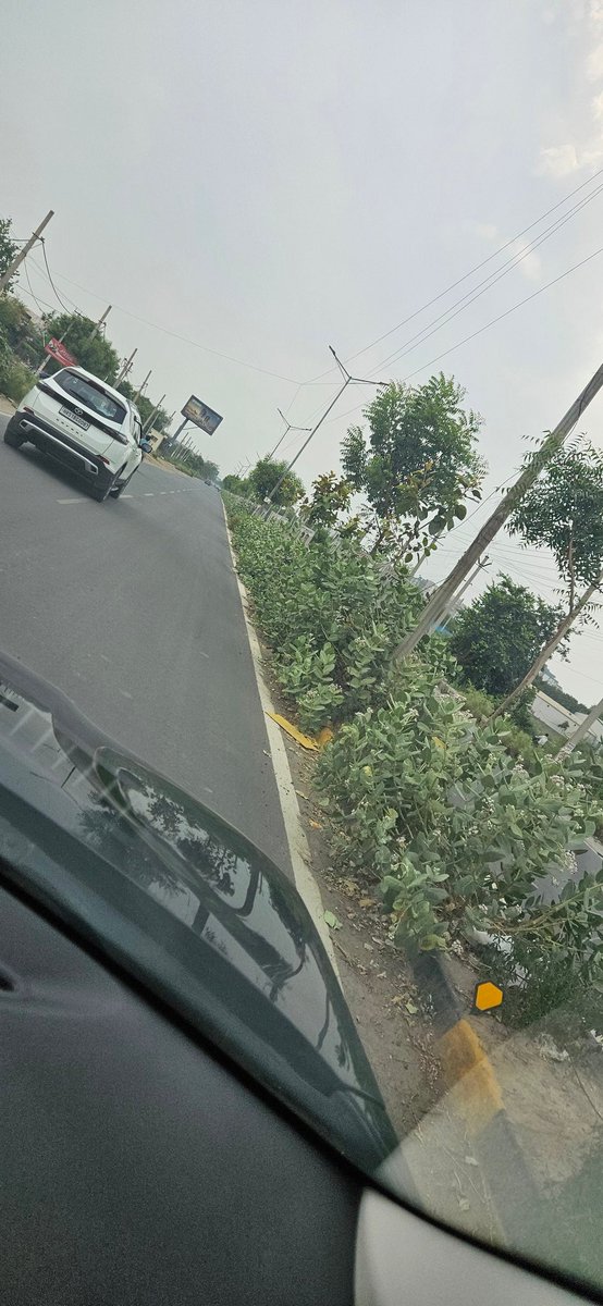 vickyraj06's tweet photo. @MCF_Faridabad @VipulGoelBJP
sitution of nahar par sector 86 area faridabad. Amolik chowk to dps chowk
Big big jungi tree between the divider of road and sepage overflow both side of roads since 6 months, no action taken by mcf after complint on mcf app
 please solve this issue https://t.co/ReAZH1tR08