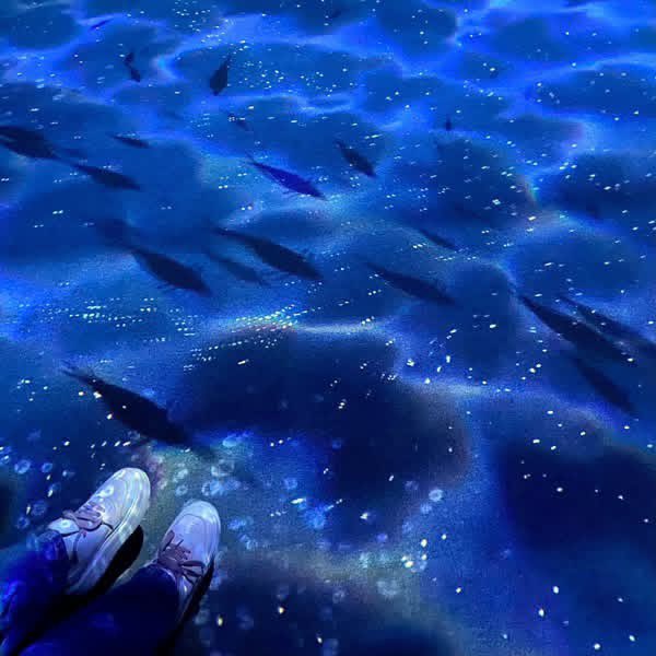 haruka_soprano's tweet photo. またね北海道！ https://t.co/h3nfcNzepT
