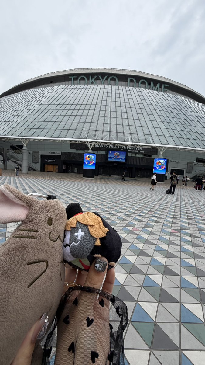 _357drop's tweet photo. ⭐️TOP4 in TOKYO DOME 2days ⭐️
ずーーーっと待ちに待ってた日❣️
ほんとにずっと楽しくて一生終わってほしくなかった( ᴗ_ᴗ̩ )生きてきた中でいちばん幸せな時間でした、絶対また調子いい日に集まります❣️🔝4️⃣ #TOP4TOKYODOME2 https://t.co/yeNYJkWfok