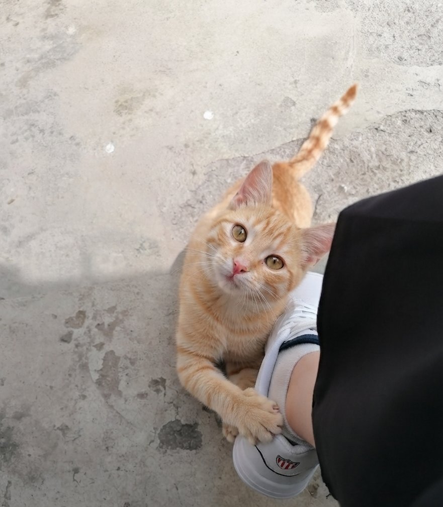 bernagultekk's tweet photo. Kalbim kızım 🐈😘🩶 https://t.co/5b8oeBYlZD