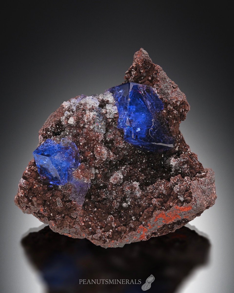 peanutsminerals's tweet photo. Fluorite with Hematite

Florence Mine, Egremont, West Cumberland Iron Field, North and Western Region, Cumbria, England, UK

Miniature size

Huuusa
( @Huuusa1 ) collection

NFS

No. 516 X

#peanutsminerals #鉱物 https://t.co/TlrRArFs63