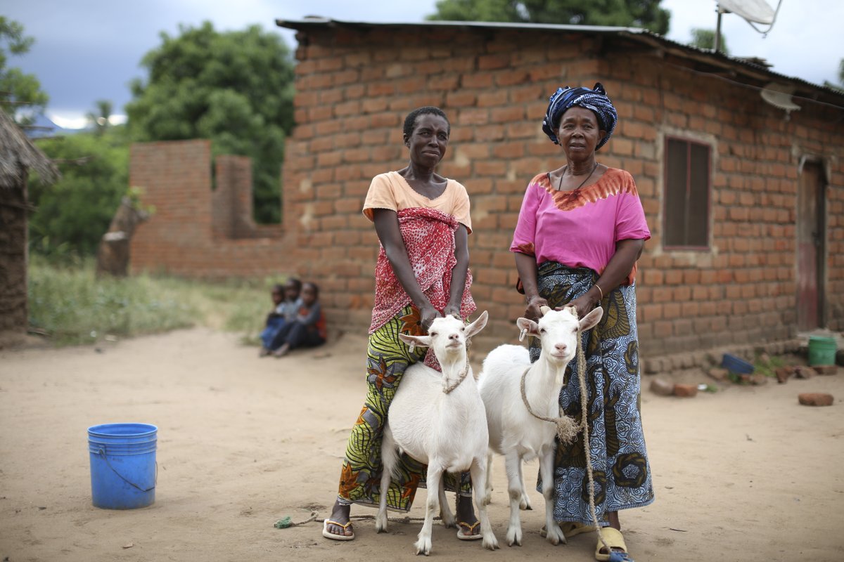 IDRC_CRDI's tweet photo. 🦠En cette #JournéeMondialeDesZoonoses, rappelons que plusieurs menaces pour la santé émergent à l’interface entre humains, animaux &amp; environnement. 

Pour le Canada 🍁, il est stratégique d’investir dans la recherche qui aide à les détecter, où qu’elles émergent. Apprenez-en👇 https://t.co/N3pl5YmApE