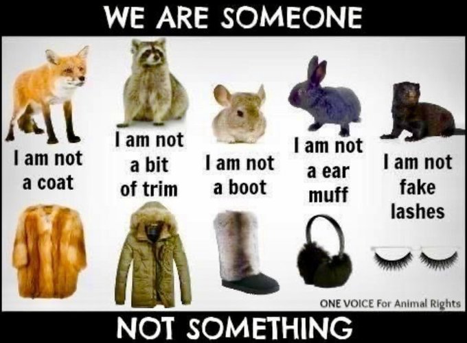 WhyNotVeganism's tweet photo. https://t.co/KBcx4s6MFE