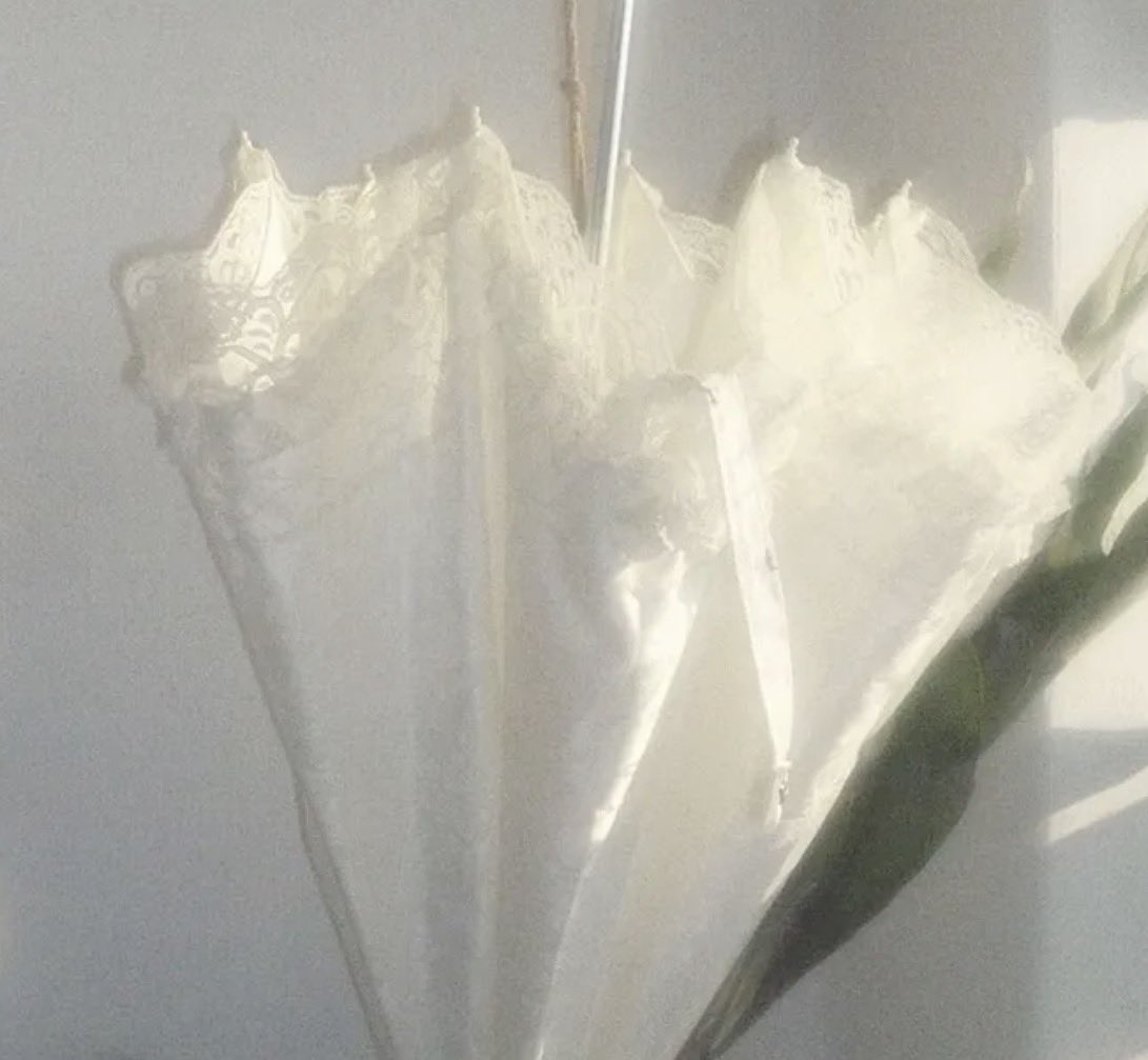 ri tweet media