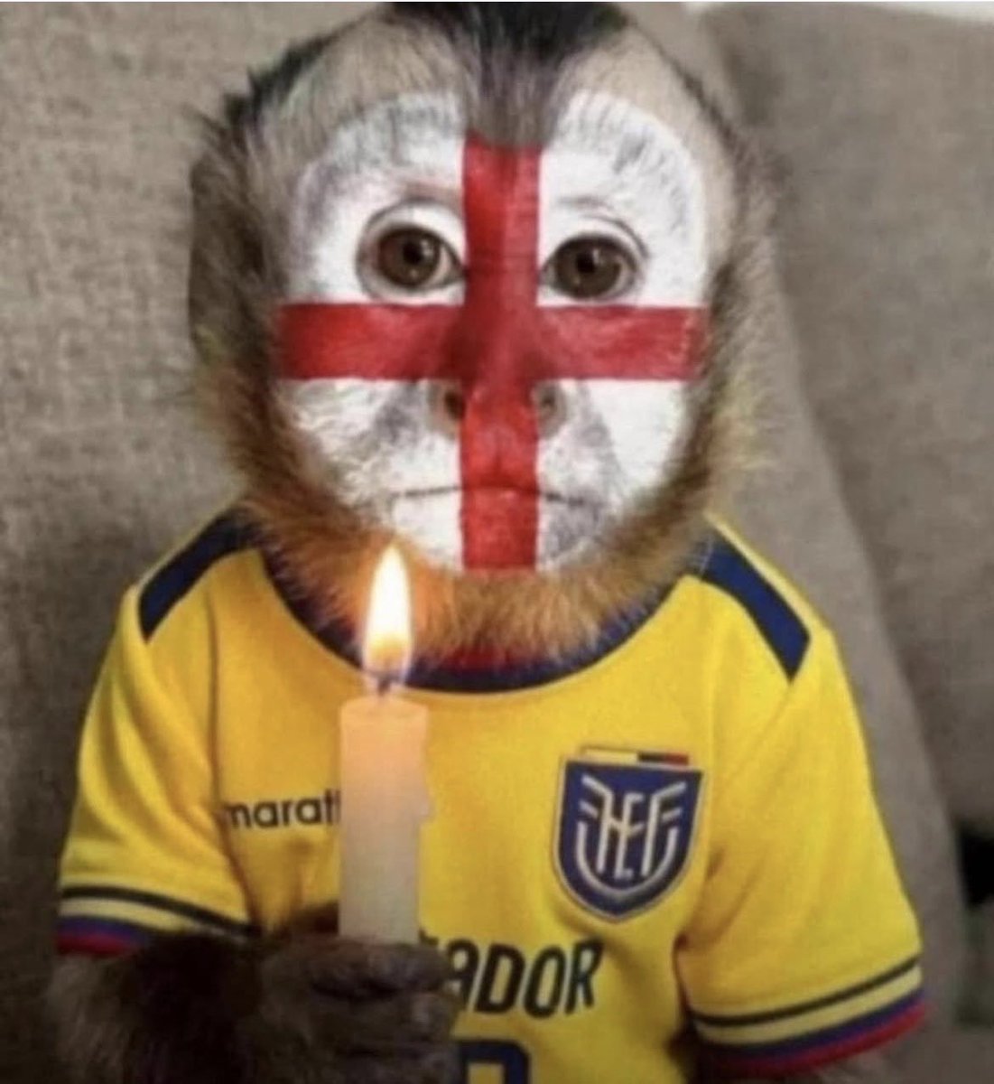 GL908822's tweet photo. @juanfranrueda_ @StudioFutbol @VitoMunozU1 @vitotvo @fmolestinae @jamolestina Ecuador durante el partido. https://t.co/pFM0yEtVDj