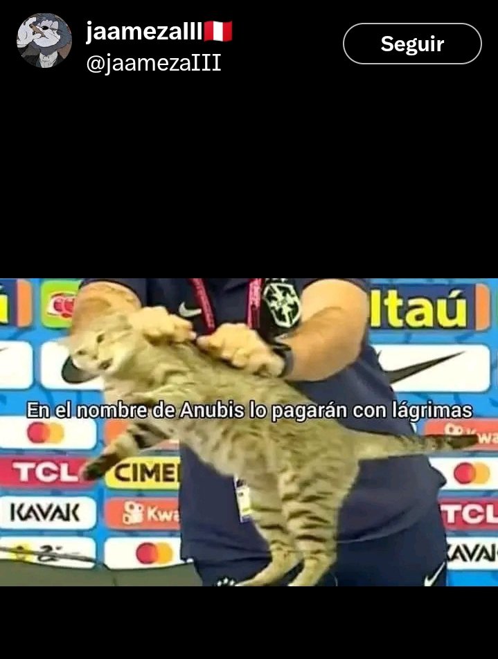 LandorGaming's tweet photo. 2 tweets que se entienden mejor juntos
#mundialdefútbol2026 https://t.co/ADBPYuNvrU