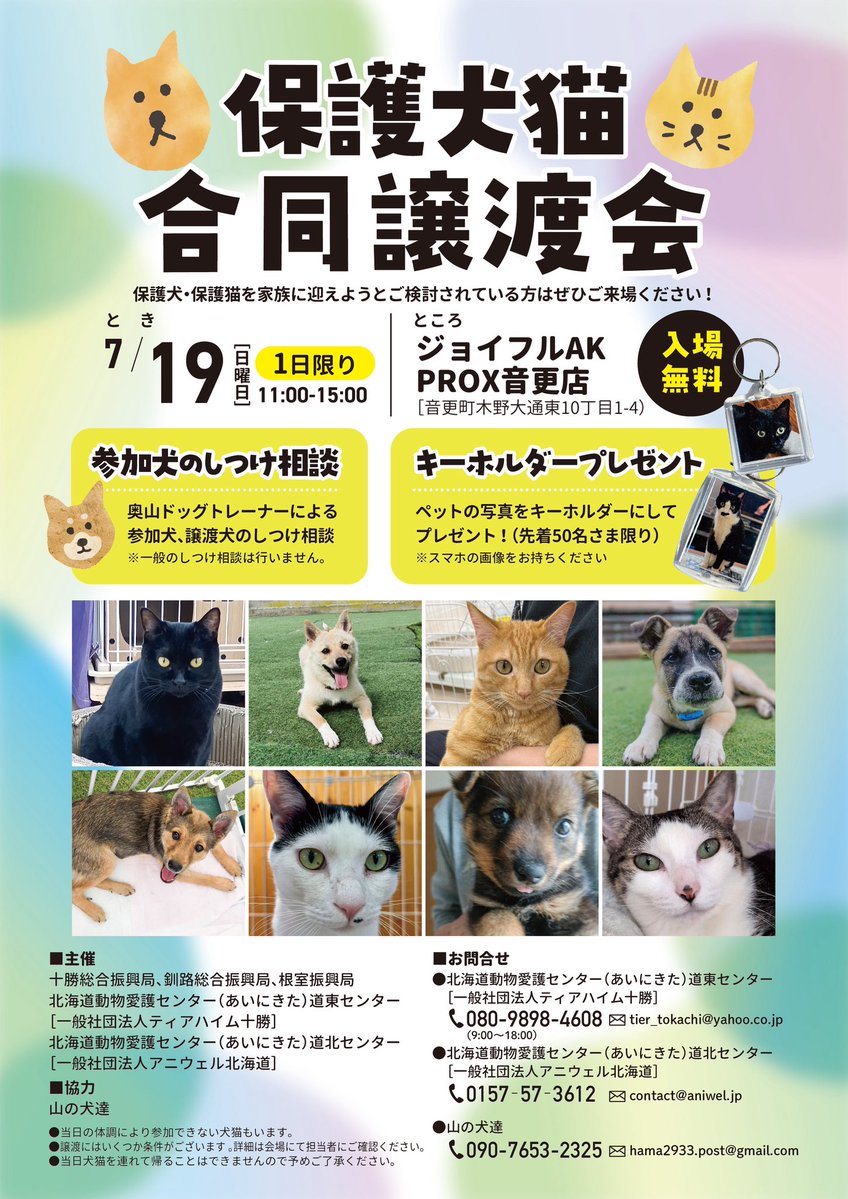 tiertokachi's tweet photo. 【北海道動物愛護センター情報　道東センター】

🐈️譲渡会お礼🐈️

２日間の合同譲渡会が無事に終了しました。
道東センターは2頭の成猫にお申し込みがありました。Wishさんからは子猫１匹と一般参加の2組からは子猫4頭と成猫2頭が内定となりました✨️
↓ https://t.co/ugmdczLslz