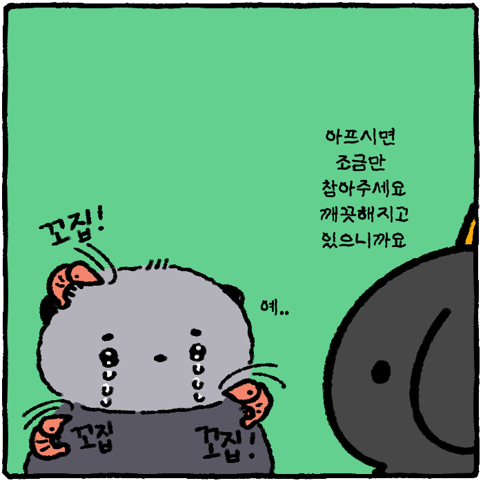 fanBu85021's tweet photo. 류해달 목욕하기 https://t.co/vh2CtXFbKa