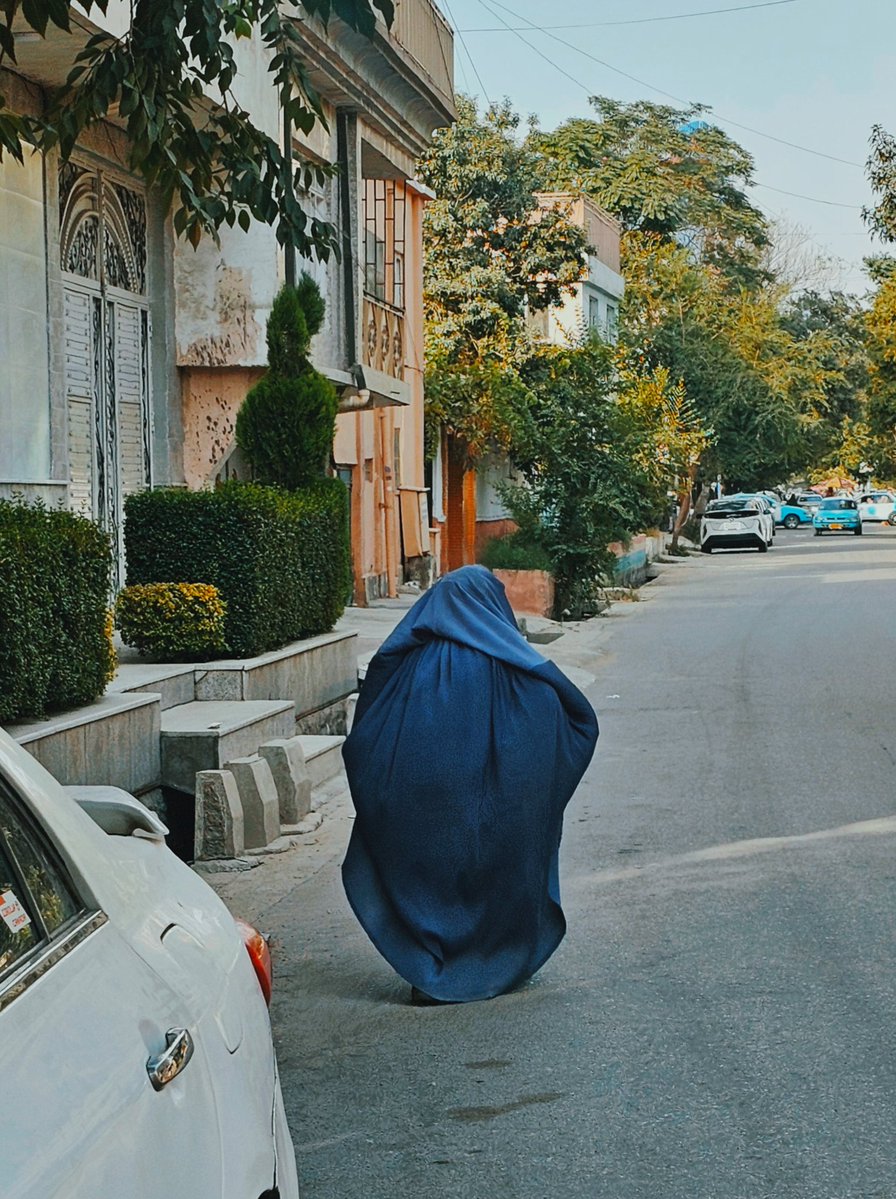 JamshidiNava's tweet photo. دردت به جانم بی‌بی
یه پیرزن خمیده بود. غریبه. نمی‌شناختیم همو.
 چشم تو چشم که شدیم سلام کردم. وایساد، صورتمو بوسید، تو دستش یه بستنی شبیه کیم بود که آب شده بود. التماس کرد اینو ببر خونه بخور. گفت «خیلی دوسِت دارم. خونه‌ات نزدیکه؟ زیاد راه نری مانده بشی تو گرما. بریم خانه‌ی من» https://t.co/ktuWOnsIYJ