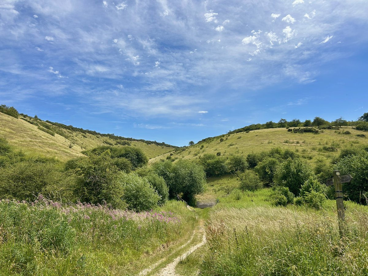 WeatherWolds tweet picture