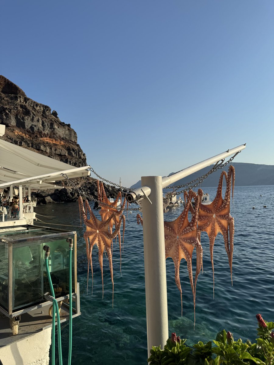 imEvleen's tweet photo. Santorini 🇬🇷 https://t.co/c3r3HWUg0o