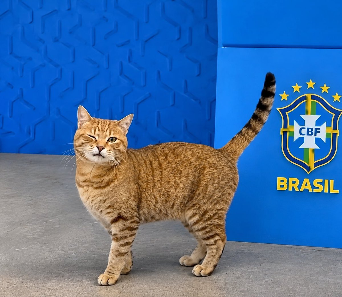 diegotibet's tweet photo. Desde este día nada fue igual para Brasil https://t.co/bsYNciMBXn