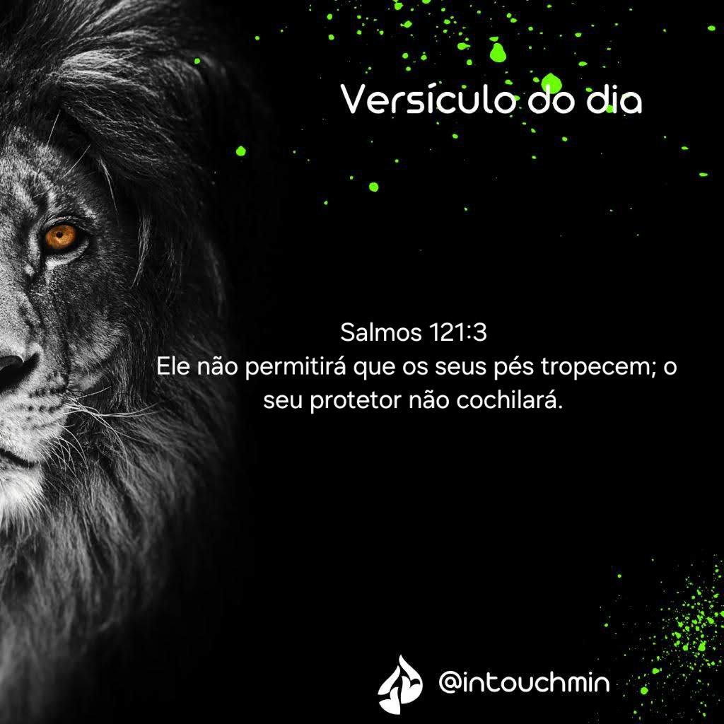 JPTVOFICIAL's tweet photo. Salmos 121:3
Ele não permitirá que os seus pés tropecem; o seu protetor não cochilará.

@InTouchMin https://t.co/QnlWCnCZ47