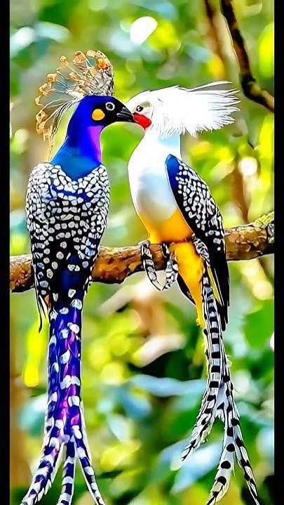 Crypto051524's tweet photo. Want + Followers? 🚀

Comment "GN", "Hi", or "Hello" 👋

Follow Back Guaranteed! 🫰✅ https://t.co/bmP0BZOyTk