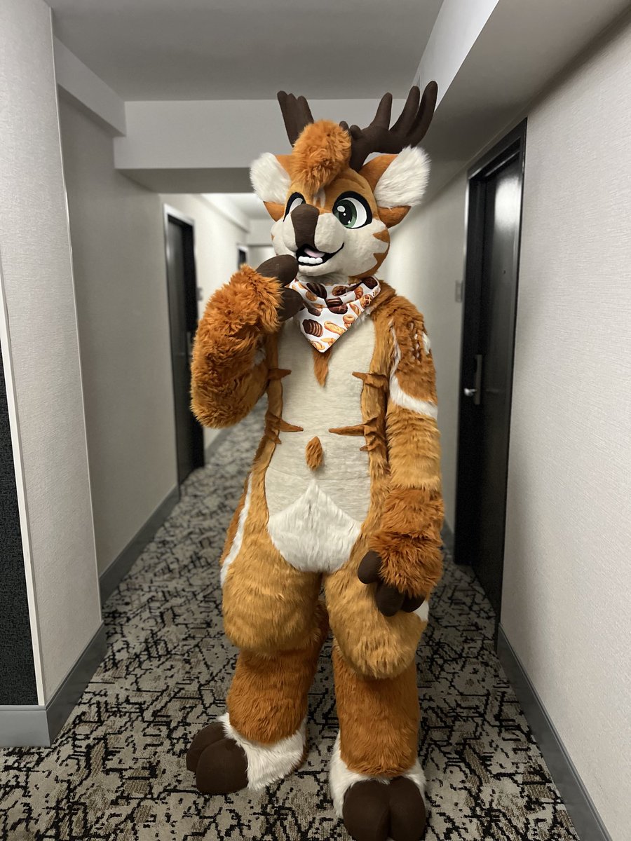 Autumn Deer 🔜 AC, Mega tweet media