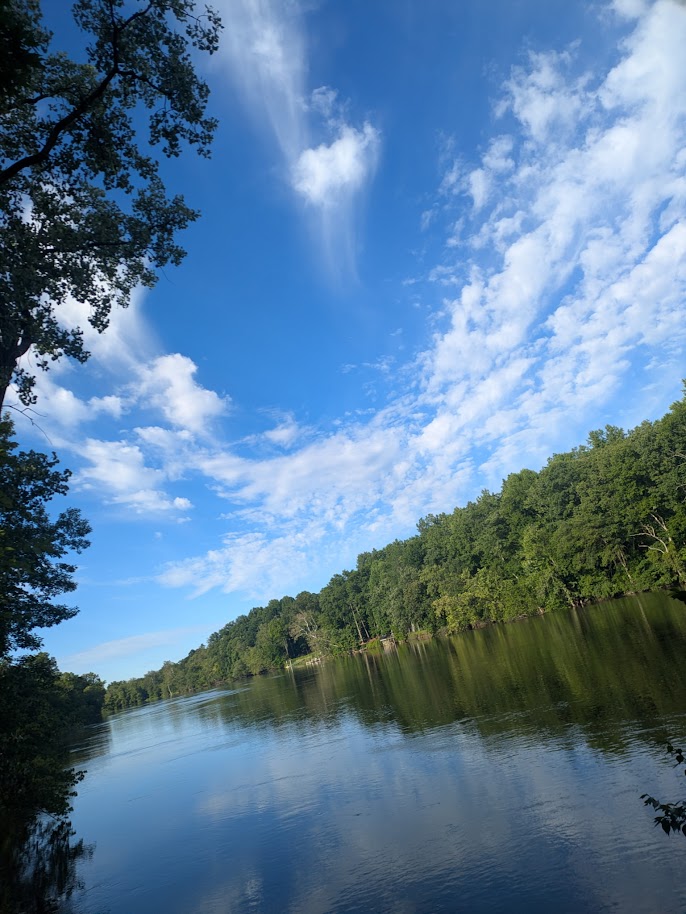 SJCoParks's tweet photo. "What makes a river so restful to people is that it doesn't have any doubt it is sure to get where it is going, and it doesn't want to go anywhere else." - Hal Boyle (Photo: St. Joseph River from St. Patrick's County Park, summer 2026) https://t.co/Cxo10XD7Ym