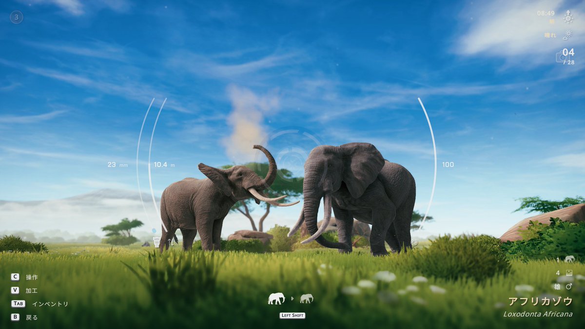whitecatseye's tweet photo. これはとても良いゲームだぁ・・・🐈️🐘📷️

#steam #Seclusa
https://t.co/X1RzRUC7Wo https://t.co/zMNoJsubnC