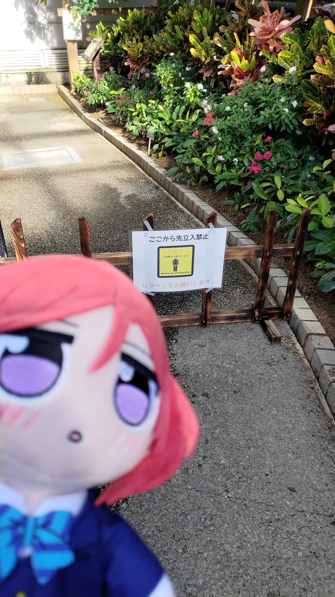 doraxus_RC's tweet photo. #くりぱんのどアップ写真が見たい 
何故かカメラに近寄って来るんですよね… https://t.co/Q6cH7KPMBX