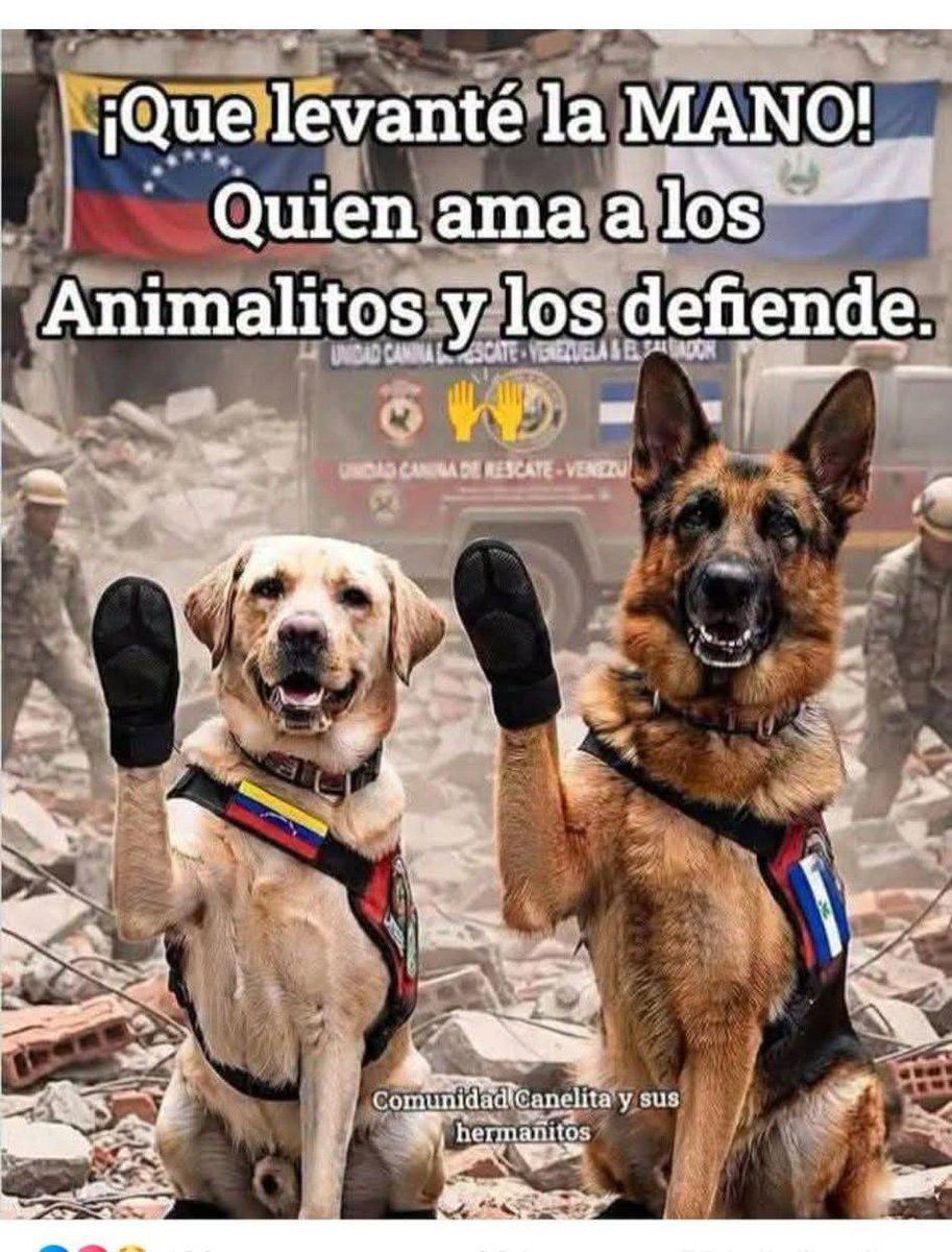 ManuSaenzVolvio's tweet photo. 🙋🏼 https://t.co/YvWHBO22I3