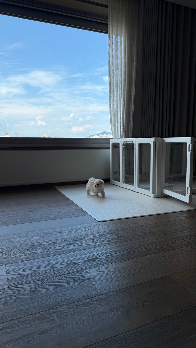 stupidcheesecat's tweet photo. spacious apartment with an amazing view all owned by THE kim bbonyo head and chief of the kim-yu house https://t.co/LHHrr3zeGH