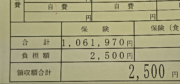 ClearBreeze123's tweet photo. 2週に1度の計上学と支払額 https://t.co/rqiZy4oGO0