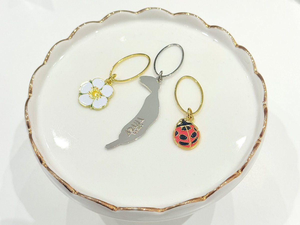 明日から！ / 本店限定「？のスカーフ」が新登場✨ 「？のスカーフ