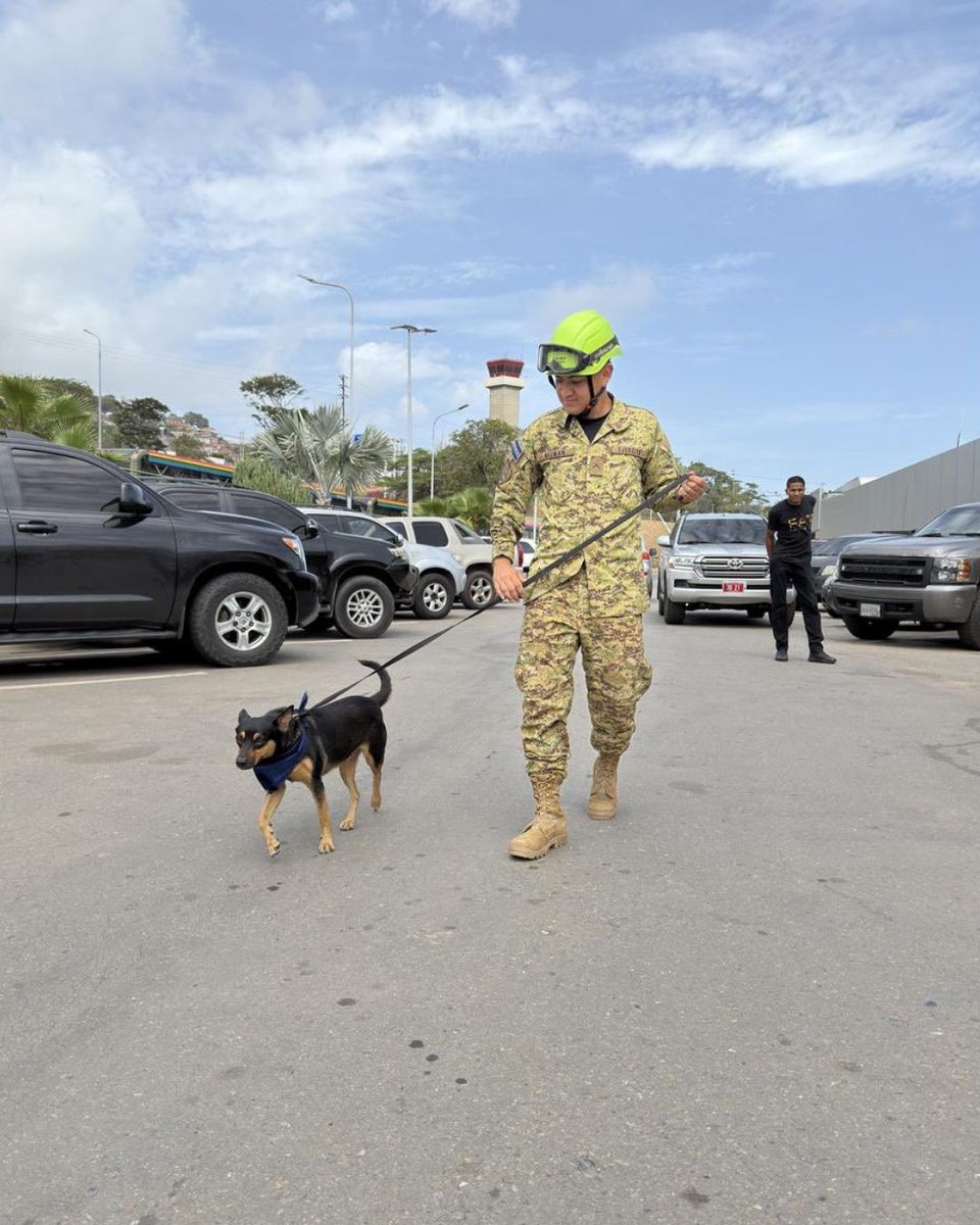 VPITV's tweet photo. 🇸🇻🇻🇪 La Fuerza Armada de El Salvador adoptó a Fénix, una perrita rescatada durante la misión humanitaria desplegada en #Venezuela tras los terremotos, según informó la institución a través de sus redes sociales.

De acuerdo con la organización castrense, el animal “resurgió de entre los escombros” y ahora iniciará un proceso de entrenamiento para integrarse a la Unidad Humanitaria de Rescate. 

“Tendrá un nuevo hogar y una gran misión: entrenarse para convertirse en integrante de la UHR y salvar vidas junto a su manada”, indicó. #VPItv