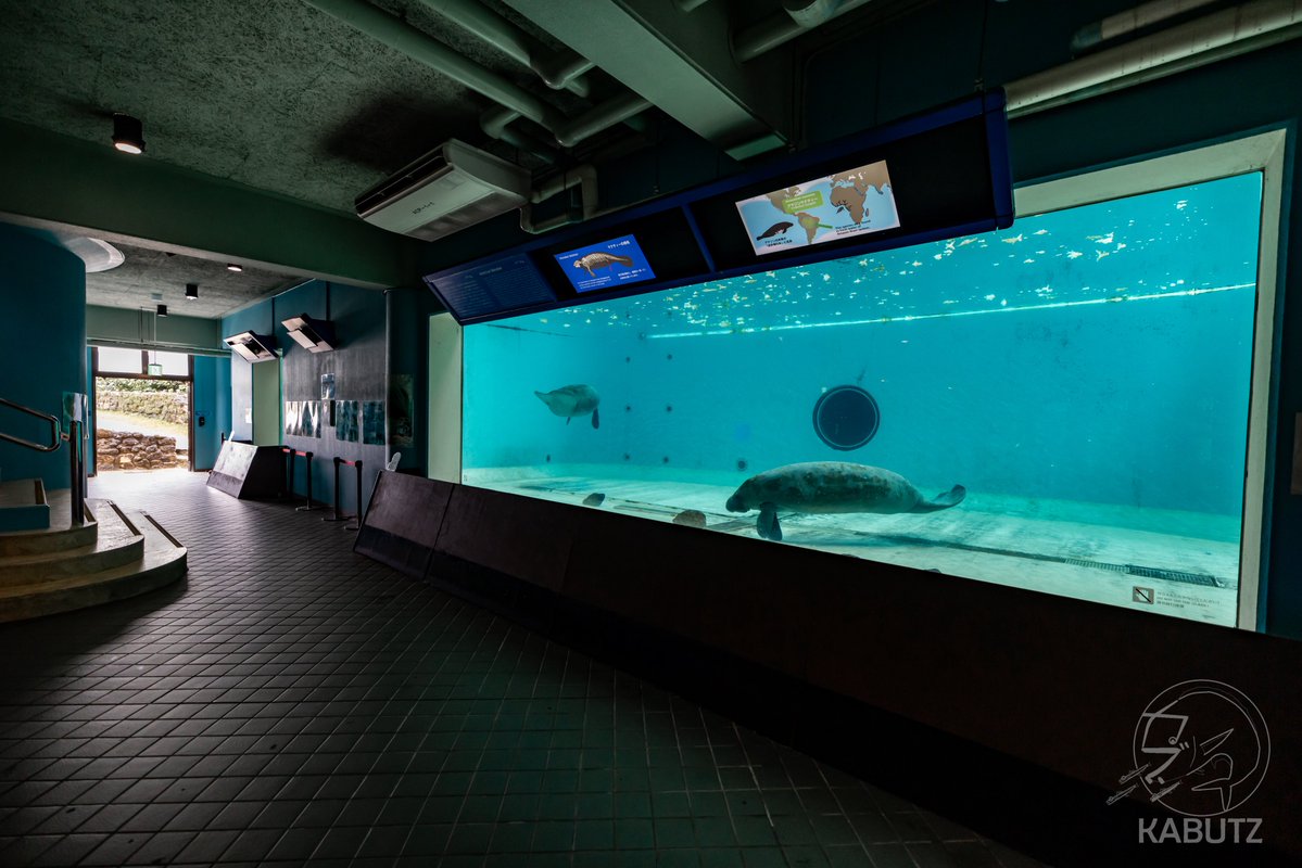 tan_sui_kabutz's tweet photo. 日本中に無料の水族館がある！すごい！ https://t.co/Fq0k1dt1QQ