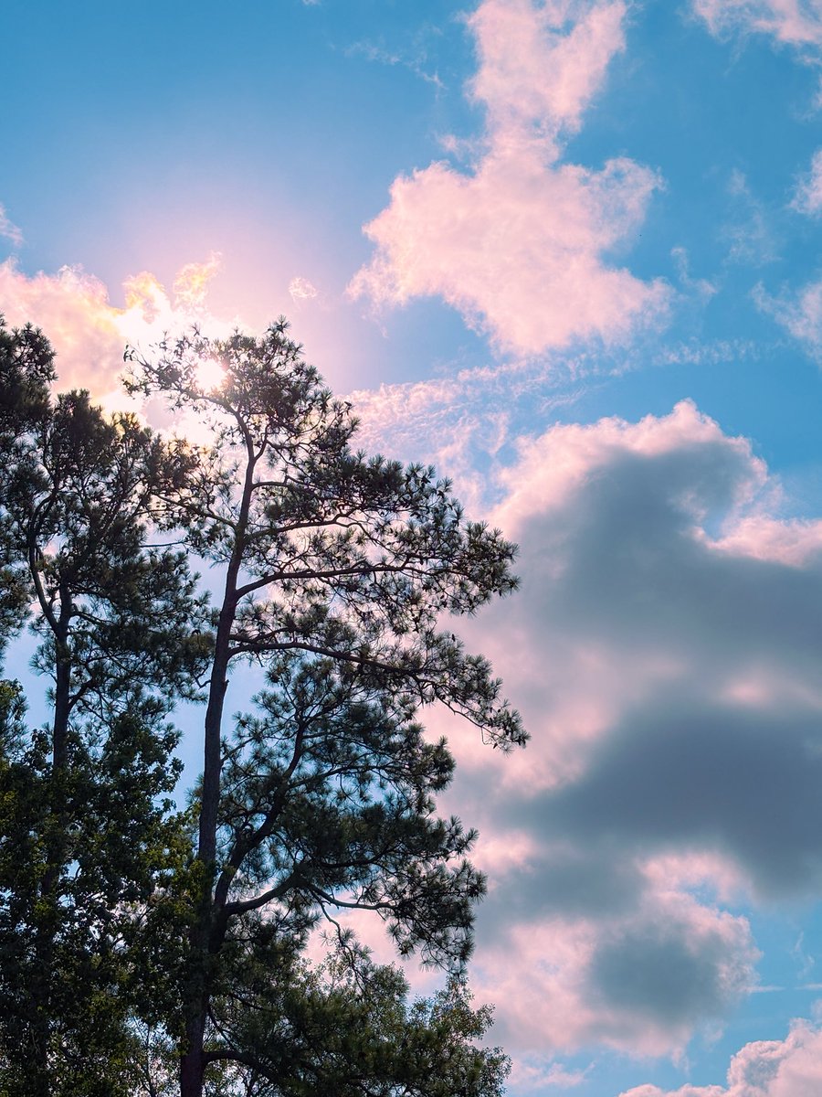 alltheblueroses's tweet photo. today’s morning sky https://t.co/SJDHTenE8m