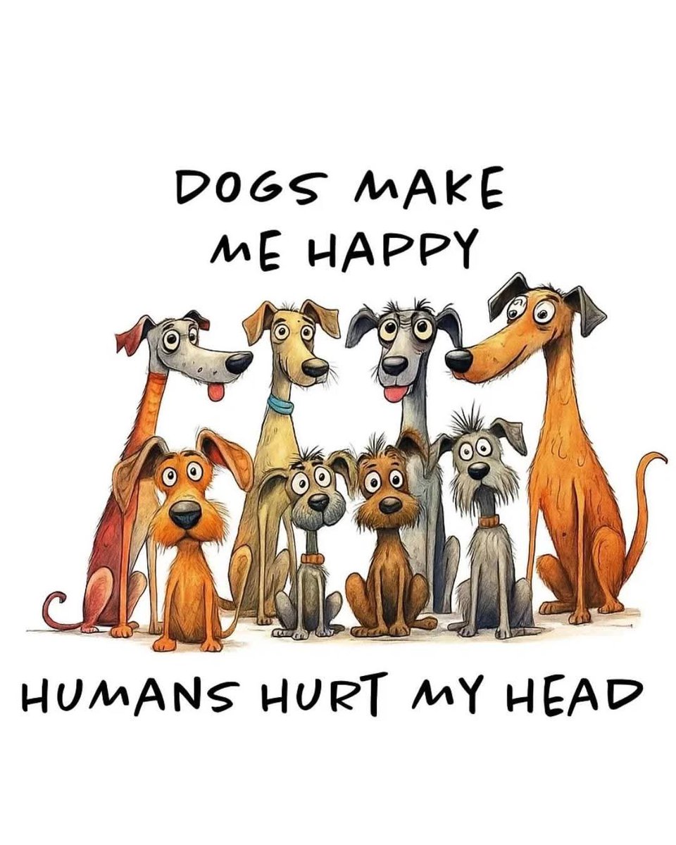 SarahjaneGille1's tweet photo. Enjoy your Monday save a DOG or CAT TODAY 7/6 the shelters will have MORE intakes after a Holiday Weekend 😢💦 #adoptashelterpet #adoptadog #adoptacat #adoptlosangelesdogs #adoptlancastercadogs #adoptagouracadogs #adoptsantaclaritavalleycadogs #saveadogslife #lancastercaadoptdogs #santaclaritavalleydogsadoptdogs #agouracaadoptdogs