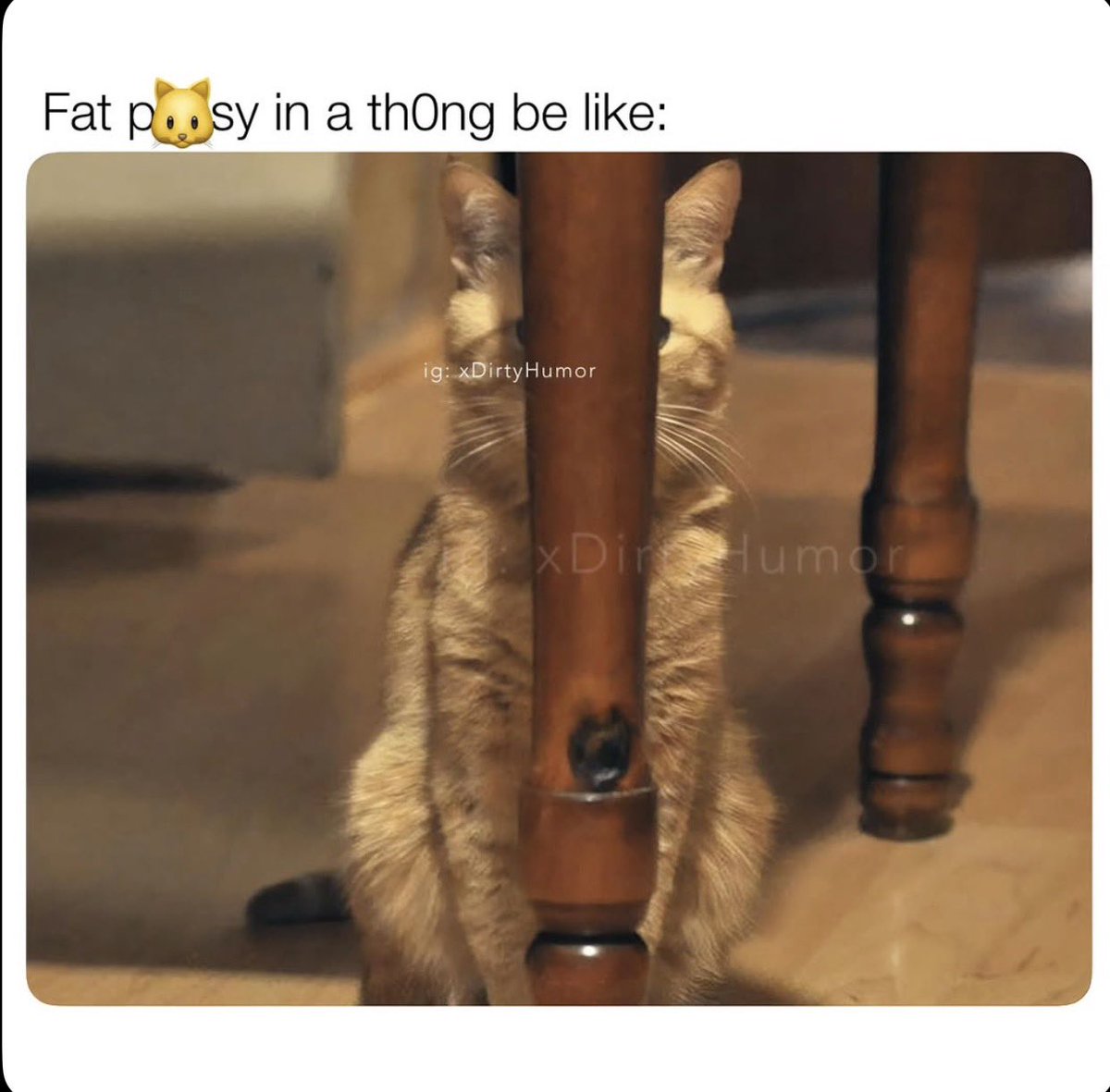 Qdca7qmo's tweet photo. Definitely 💯 🤣 https://t.co/2b61HYQ3AE