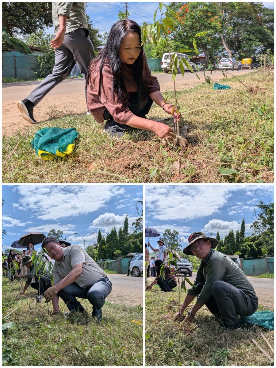 Ngl_Cooperation's tweet photo. The Culmination Programme &amp; Tree Plantation Drive under Coop Week 2026 🌱
 Organised by ARCS office Chümoukedima with the theme"Growing together through cooperation for a Greener Nagaland".
#EmpoweringCooperatives
#CooperativeWeek2026
#SahkarSeSamriddhi
#SahkarSeSamriddhiKe5Saal https://t.co/Pt4j5OCF6Z