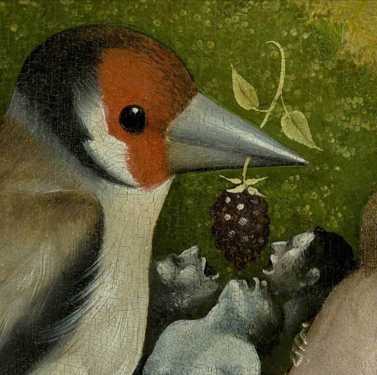 archaeologyart's tweet photo. Detail of the giant goldfinch from the central panel of Hieronymus Bosch's 'The Garden of Earthly Delights' (c. 1490-1500, oil on oak panel), Museo del Prado, Madrid.

For Bosch, scale is a tool for meaning.

The giant fruit shows the magnitude of desire; the shrunken human shows how small humanity becomes in the face of it. The fruit in the beak is ripe, and on the verge of being eaten. In other words, it's fleeting. Bosch's philosophy lies hidden in this difference in scale.

The bird's species is significant: the European goldfinch (Carduelis carduelis). In late medieval and Renaissance imagery, the goldfinch had multiple layers of meaning. Because Pliny's 'Natural History' describes small birds like the goldfinch or the linnet as highly prolific species, this motif became linked to reproduction and physical multiplication. Bosch's decision to place a giant goldfinch next to nude figures can be read in this light.

The second layer, however, is much darker. In Christian symbolism, because the goldfinch eats thorny thistle seeds, it was linked to the Crown of Thorns Christ wore on the cross. The red on the bird's face came from the legend that it was stained by Christ's blood while trying to pull the thorns from his crown.

That's Bosch's move. He places the exact same bird - a symbol of both fertility and the Passion - right in the middle of the nude figures. The promise of pleasure and the potential downfall it brings share the exact same scene.