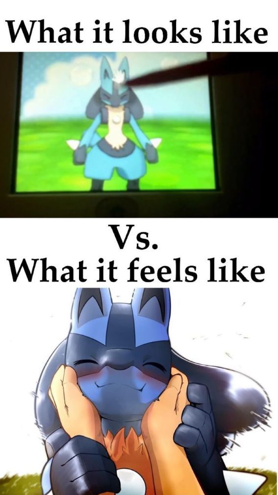 pokemon_psts's tweet photo. https://t.co/3bHKiWUGjN