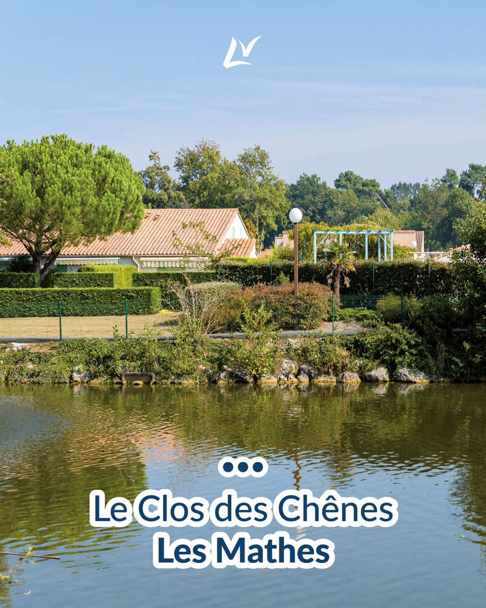 Groupe_Lagrange's tweet photo. Le privilège absolu de l'intimité, le luxe d'une villa secrète au cœur de la forêt landaise… ✨

https://t.co/qsBU2xWk8Z
Bienvenue à La Clairière aux Chevreuils, l'une des adresses les plus exclusives de Moliets. Ici, les vacances haut de gamme prennent une tout autre dimension. https://t.co/0GOY6YFYOn
