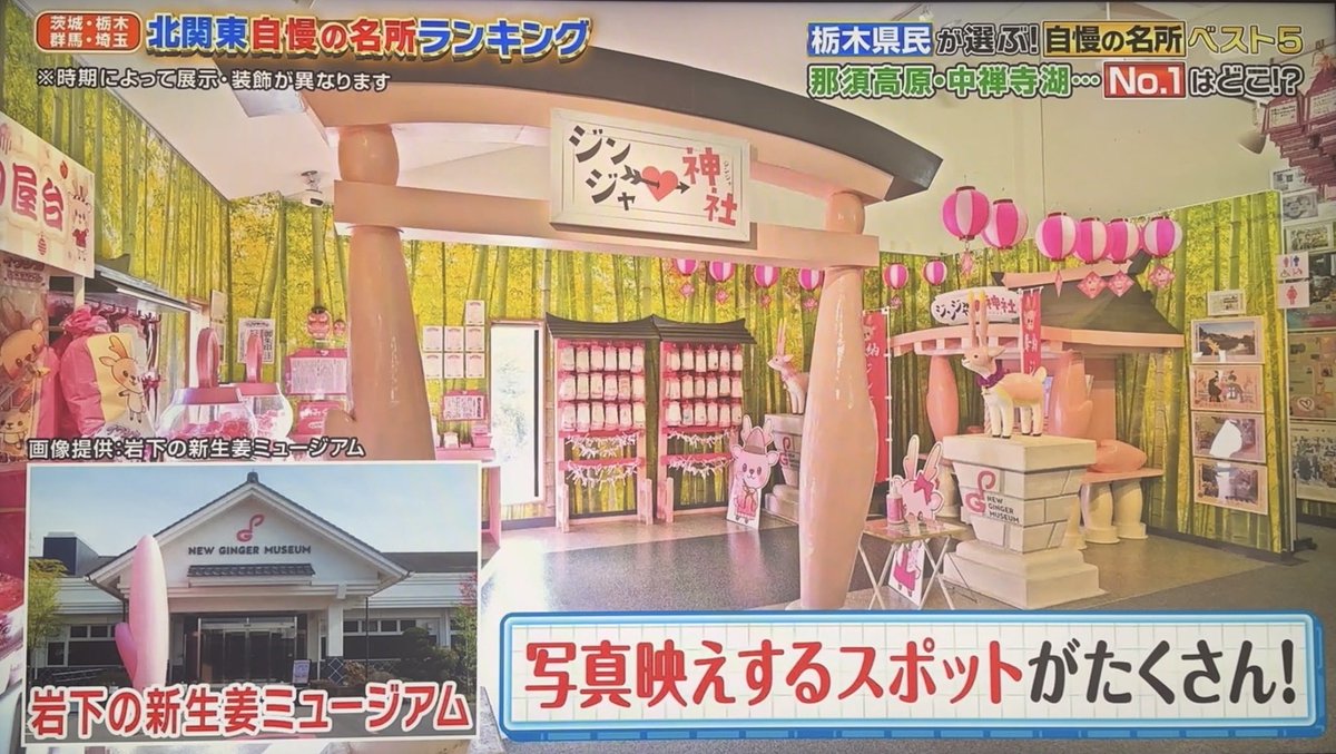 shinshoga's tweet photo. 今夜のテレ朝 #Qさま 北関東特集。栃木県民が選んだ「わが県の自慢の名所」として「岩下の新生姜ミュージアム」を挙げて頂きました！なんと光栄な…🙇‍♂️恐れ入ります。

BGMは町あかりさんの「岩下の新生姜CM エンドレスバージョン DISCO NEW GINGER」でした！クイズに正解された名取裕子さんは、以前ラジオで岩下の新生姜の肉巻きを作って下さいました。U字工事益子さんからもコメント。皆様ありがとうございます。ご縁に感謝いたします💕