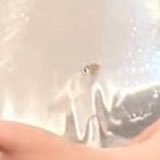 paluvthai's tweet photo. 왤케 소중히 품고잇나 햇더니 물고기 얼굴보고 납득함
물고기 어디잇는지 한참 찾았네 https://t.co/hDvKYXnTZ0