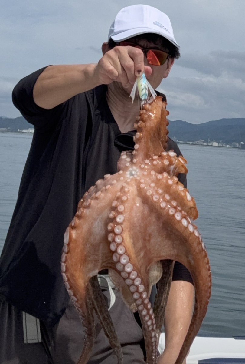 HirePira's tweet photo. ご近所のユーザー様🐙
広島湾2.7kg
ひれピラタコエギにて https://t.co/WbE1K9EQBk