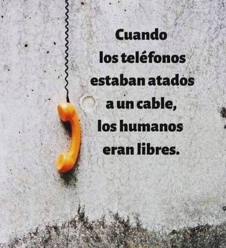 EnsedeCiencia's tweet photo. 🧐 https://t.co/mXvYbBlgRZ