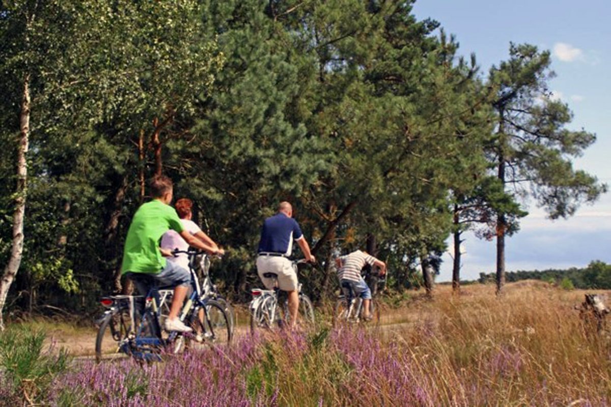 heystek's tweet photo. Warme en droge Drentse Fiets4Daagse van start https://t.co/aaFK5ePgQ5 https://t.co/OTKcSKmT1C