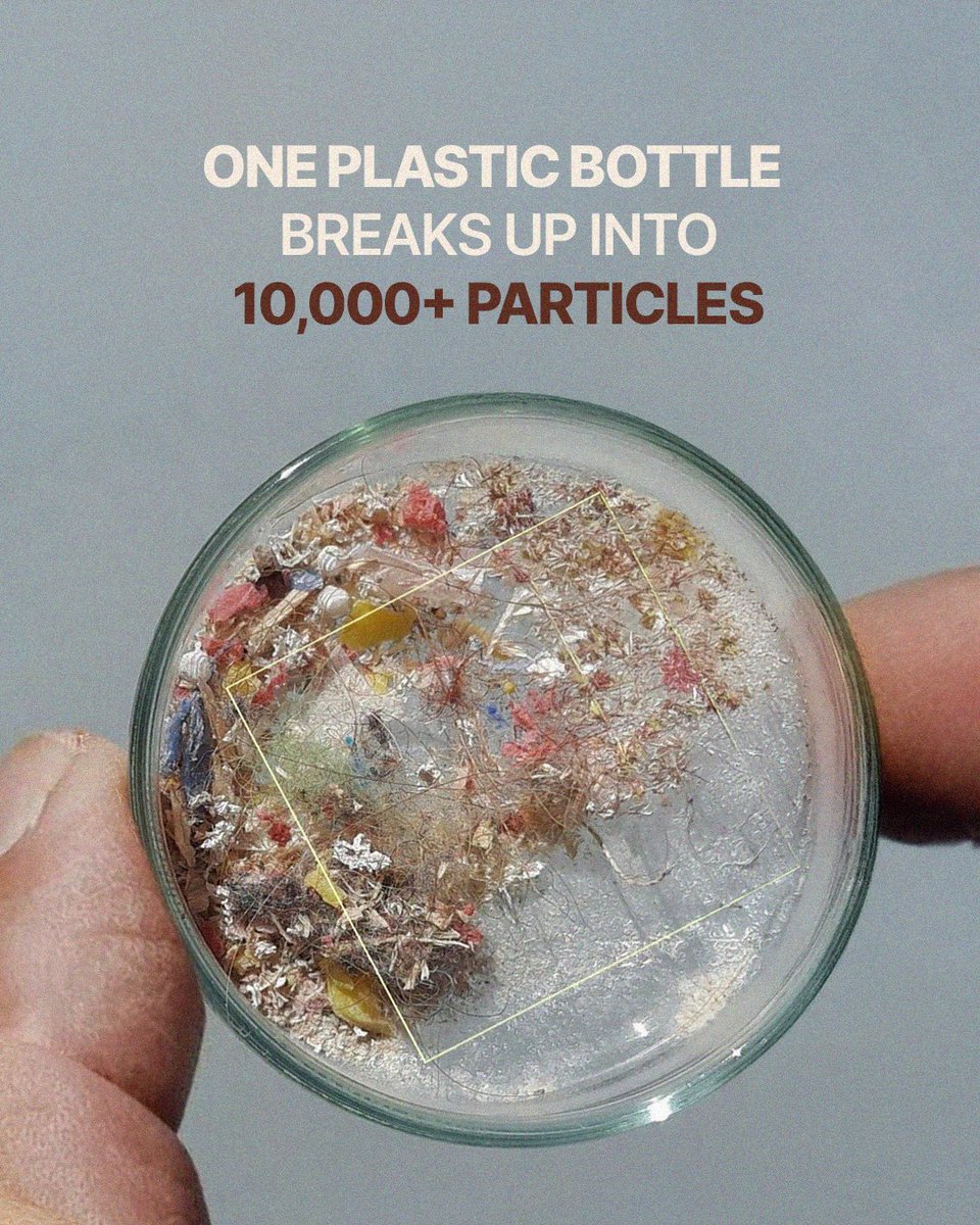 Cleolifestyle's tweet photo. The planet doesn’t need another plastic bottle.
You don’t either.

Refill. Reuse. Repeat. 🌍

#PlasticFreeJuly #EcoFriendly

Option 5 (Most impactful)
“It’s just one plastic bottle.”

Until billions of people say the same thing.

#PlasticFreeJuly #ChooseReuse #CleoLifestyle https://t.co/DRxWYwpARY