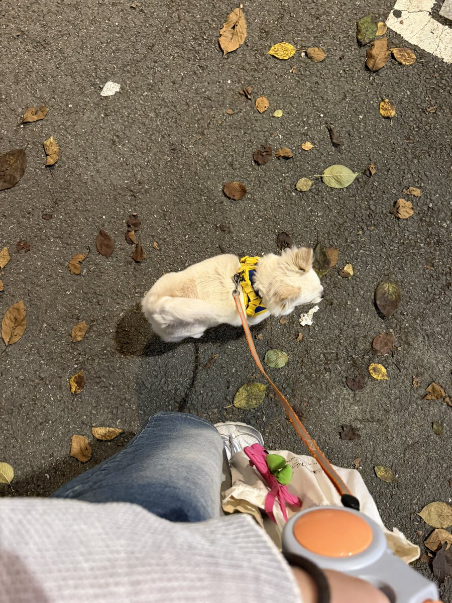 _mxxsik's tweet photo. 🍂.. https://t.co/eIRtvWMamC
